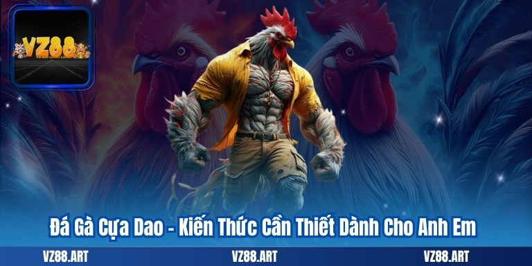 Đá Gà Cựa Dao – Kiến Thức Cần Thiết Dành Cho Anh Em 3 Đá Gà Cựa Dao – Kiến Thức Cần Thiết Dành Cho Anh Em