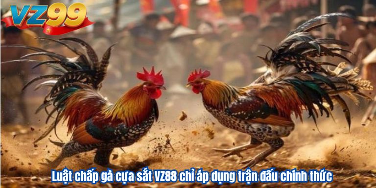 Luật chấp gà cựa sắt VZ88 – Tìm hiểu thông tin chi tiết 4 Luật chấp gà cựa sắt VZ88 chỉ áp dụng trận đấu chính thức